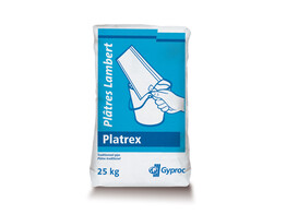 PLATREX 25 KG